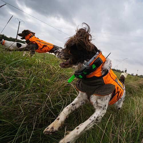 Chasse petit et grand gibier DECATHLON